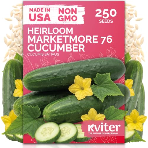 250 Marketmore 76 Cucumber Heirloom Vegetable Seeds