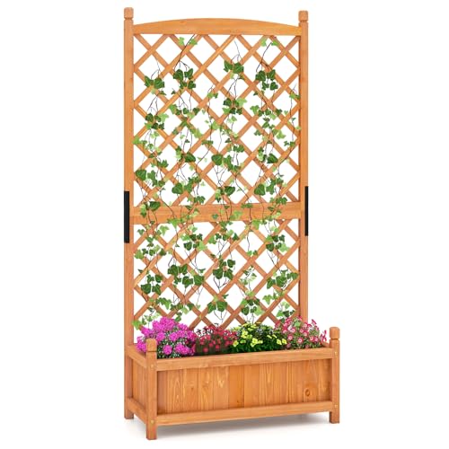60” Raised Garden Bed with Trellis (28" x 13" x 60")