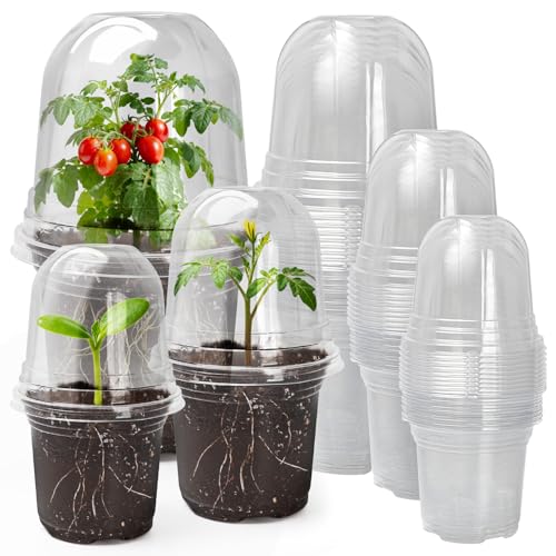 Clear Nursery Pots with Humidity Domes (Transparent / 3.5/4/5 Inch-with Lid)
