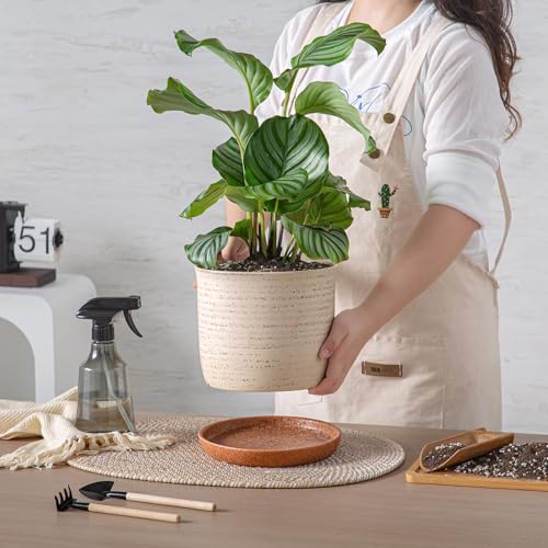 8 Inch Ceramic Plant Pot with Drainage Hole & Separate Saucer (Brush Color / 8 inch)