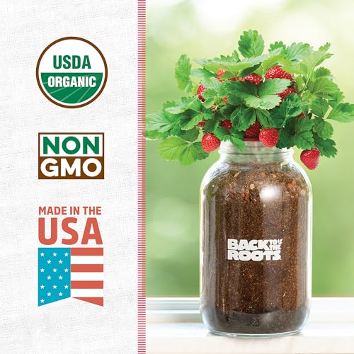 Organic Strawberry Grow Kit (Strawberry)