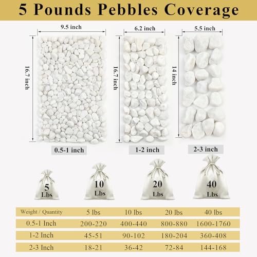 5 lbs White River Rocks for Plants