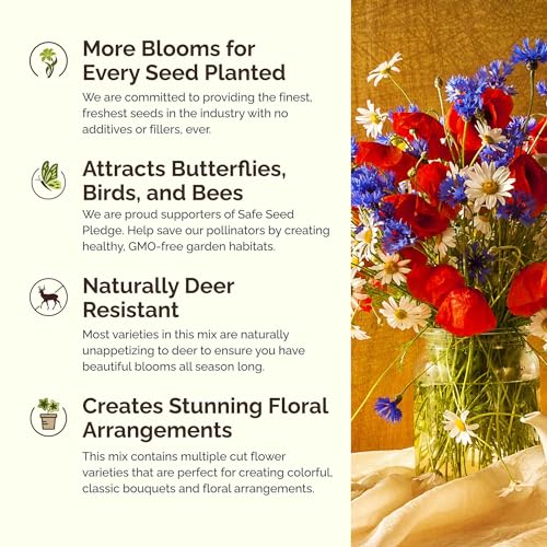 Vermont Wildflower Mixed Seeds for Planting