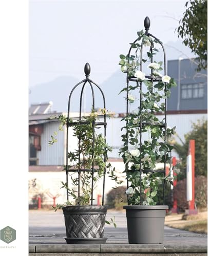 Garden Obelisk Trellis (Black / Φ31.7cm-H175cm)
