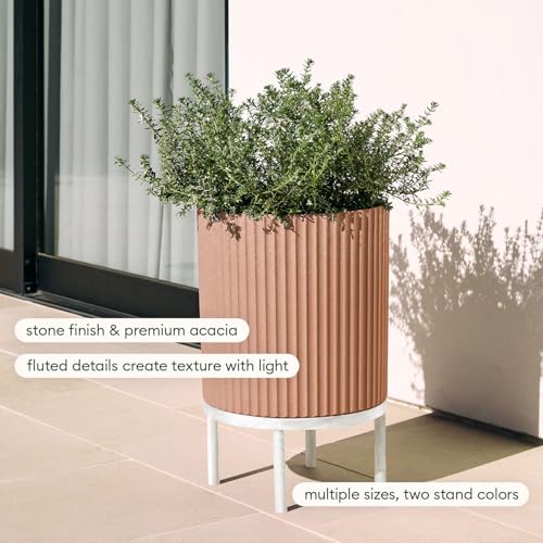 Demi Series Raised Planter (2 Count)