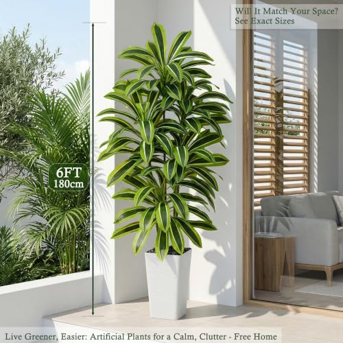 Artificial Dracaena Tree (Light Green – White Pot / 6FT)