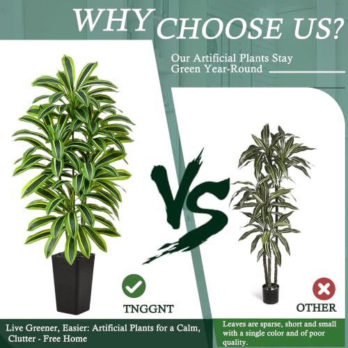 Artificial Dracaena Tree (Light Green – Black Pot / 6FT)