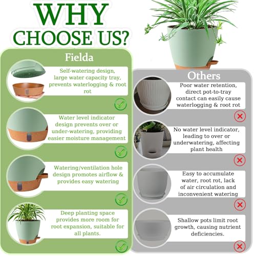 2 Pack 8 Inch Pots for Plants Indoor (2 Count)