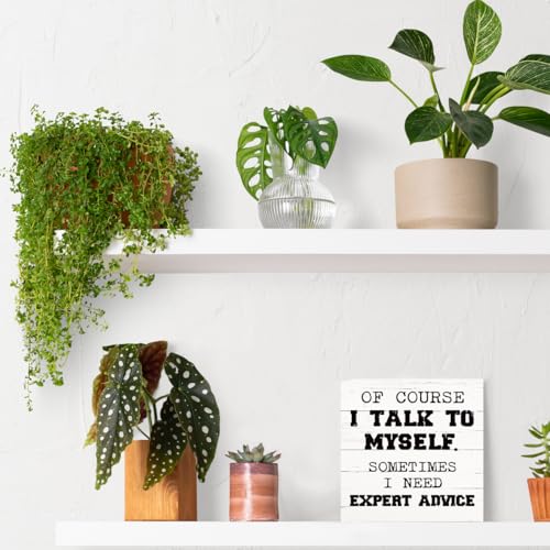 Funny Desk Signs (Inspirational15)
