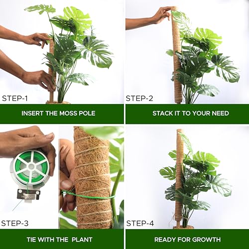 26.5" (2 Pack -16") Stackable Moss Pole for Monstera Plant Support | Moss Pole Sticks for Indoor Plants | Bamboo Plant Stakes,Climbing,Potted,Pothos| Philodendron & Creepers with Tie Accessory (16 Inches - (2 PCS))