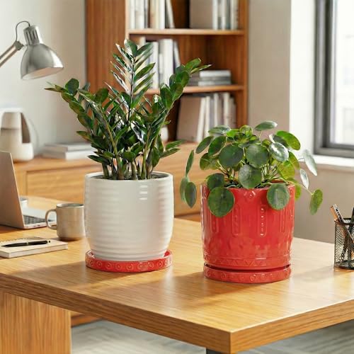 2 Pack Plant Plates to Catch Water (7.5 Inch (2 Pack) / Red)