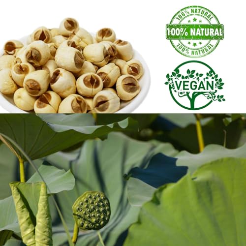 Natural 2LB Dried Lotus Seeds 莲子干 (32 Ounce)