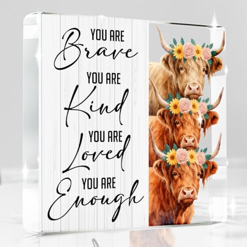 Highland Cow Gifts You are Brave Kind Loved Enough Positive Inspirational Highland Cow Acrylic Sign Gifts for Friends Inspirational Decorations Gift 4x4 Inch (Brave)