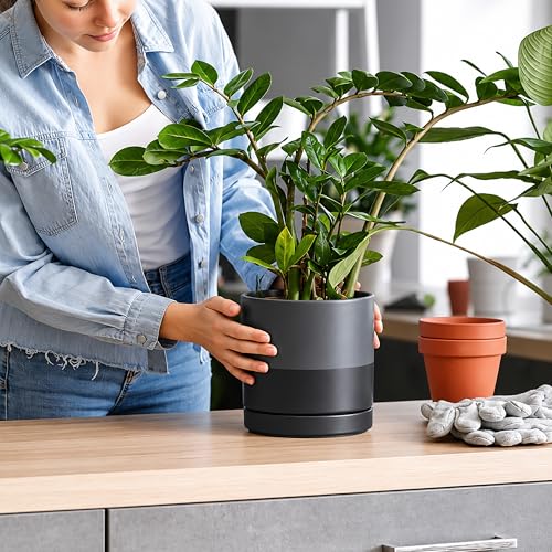 6.5 Inch Ceramic Planter Pot (Small / Slate)