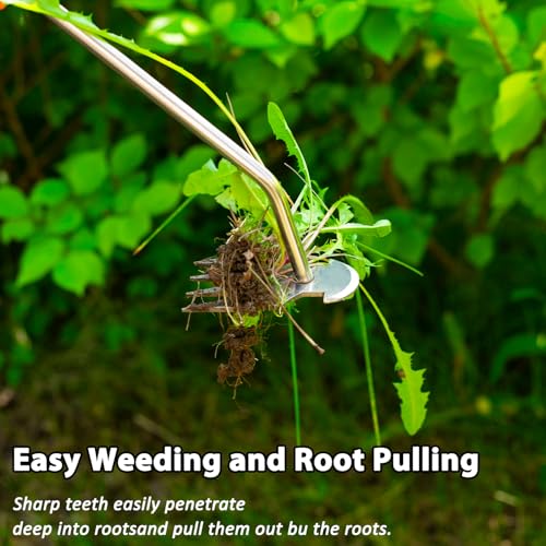 Garden Uprooting Weeding Tools (3 Count)
