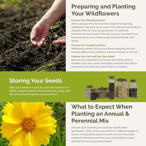 Wisconsin Wildflower Mixed Seeds for Planting
