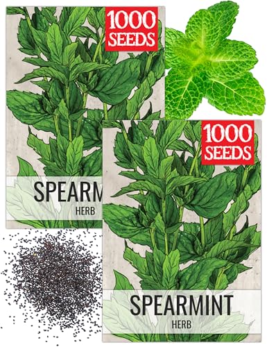 Spearmint Seeds to Plant Heirloom Non (2 Packs)