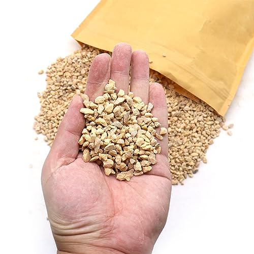 Light Brown Coarse Sand for Plants (X-Mini (0.125 Inch) / COARSE SAND - LIGHT BROWN)