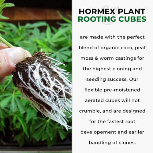 Rooting Powder #1