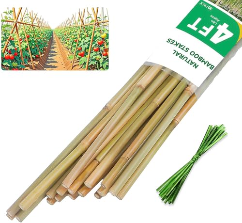 Natural Bamboo Plant Stake (4ft-30PCS)