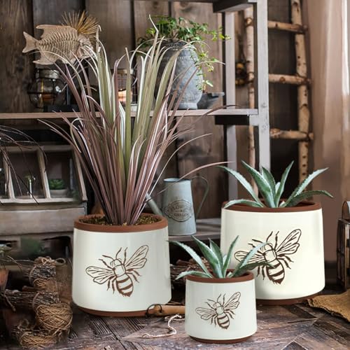 Terracotta Pots (8+6+4 Inch / White Bee)