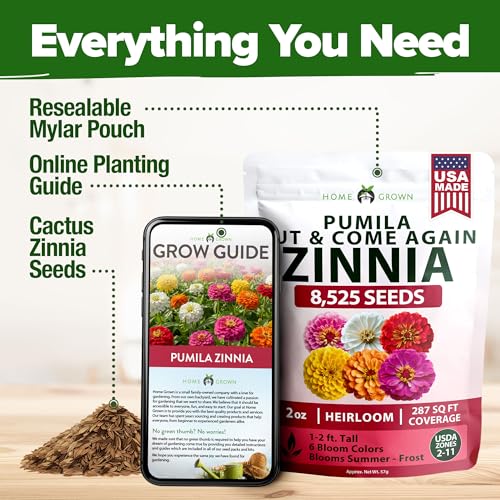 Zinnia Seeds Pumila Mix