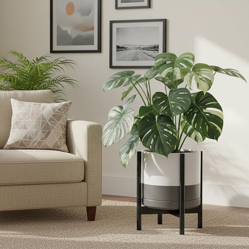 Ceramic Pot with Ebony Wood Stand (14 Inch / White/Grey Pot + Ebony Stand)