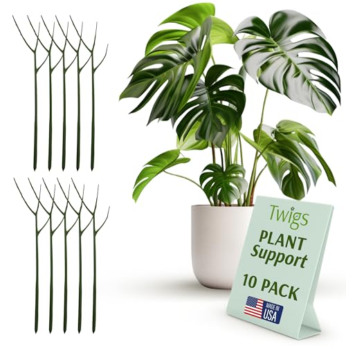 Original Plant Support Stakes (Monstera (Dark Green) / Original (10 Pack))