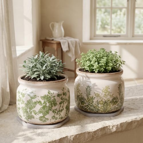 Cottage Ceramic Flower Pots with Decorative Saucer (Cottage Fern / 7.7 in - w/ Saucer)