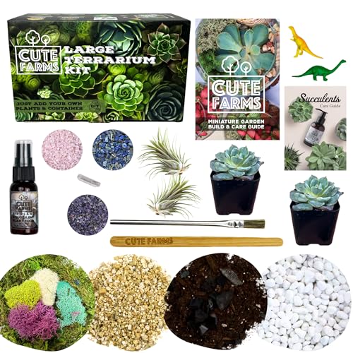 Terrarium Starter Kit (Large Kit + Live Plants + Crystals)