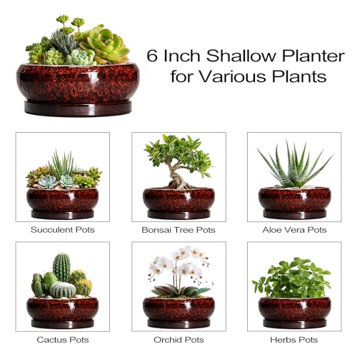 Succulent Planters 6 Inch (6 Inch / Leopard Red)