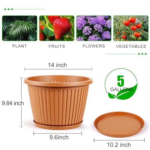 Large Planter (Terracotta / 14 inch)