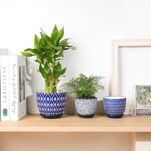 Ceramic Succulent Pots (Vintage Blue / 3.5 Inch, Set of 6)
