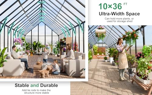 36x10x10 FT Polycarbonate Greenhouse for Outdoors w