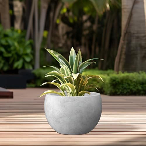 Accent Round Bowl Pale Gray Concrete Planter 15.7" Dia (Natural Concrete / 15.7" d)