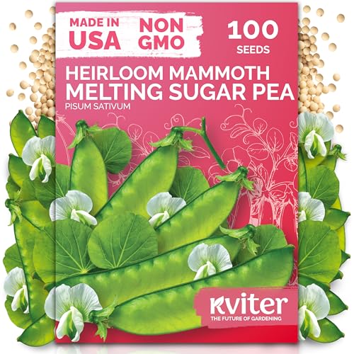 100 Mammoth Melting Snow Pea Heirloom Vegetable Seeds