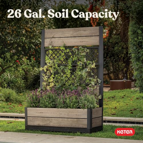 Outdoor Planter Box with Privacy Screen and Trellis (Ashwood Trellis)