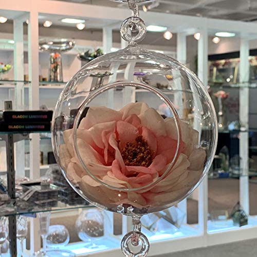 WGV Hanging Terrarium Globe (4" Double Hook)