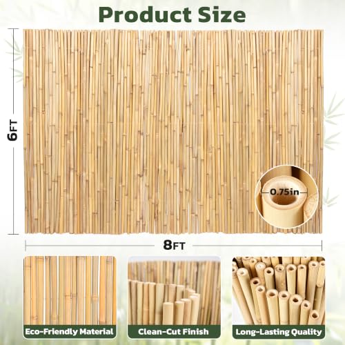 Natural Bamboo Fence (48 Sq Ft)