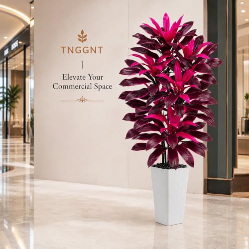 Artificial Dracaena Tree (Magenta – White Pot / 6FT)