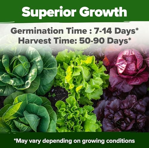 10 Variety Lettuce Seed Mix