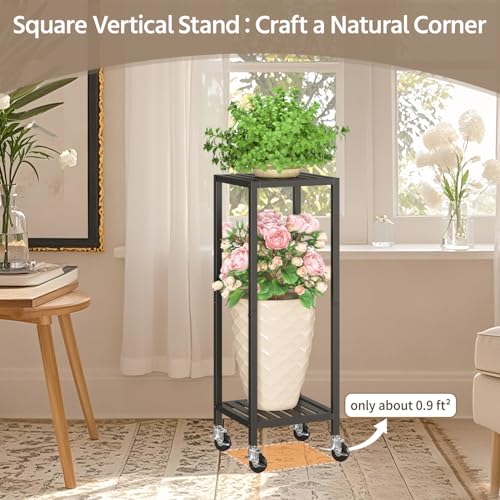 Plant Stand Shelf Indoor Outdoor Tall Corner (Standard Black / 2 Tier)