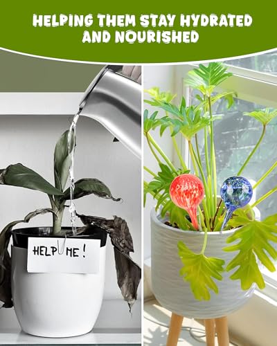 Iridescent Self Watering Globes (4 Count)