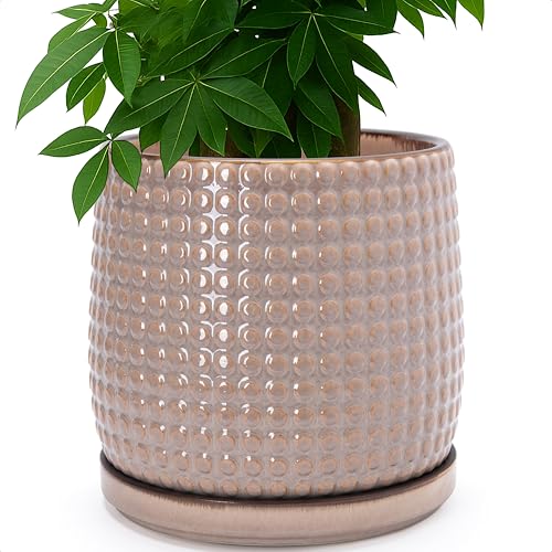 Beaded Ceramic Pot with Saucer (10.2 Inch / Light Brown)