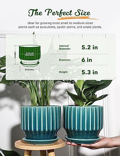 Plant Pots 6 inch Ceramic Pots for Indoor Plants Set of 2 Flower Pots Unique Crackle Glaze Design Plant Pots with Drainage Hole and Saucer Come with Drainage Nets (2 Count)