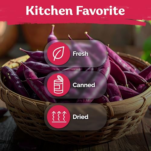 75 Top Pick Pinkeye Cow Pea Heirloom Vegetable Seeds