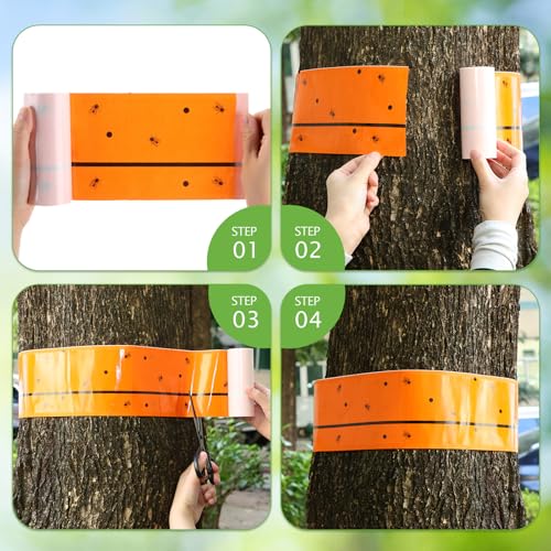 6 Rolls Spotted Lantern Fly Tree Tape Trap 30ft (Orange)