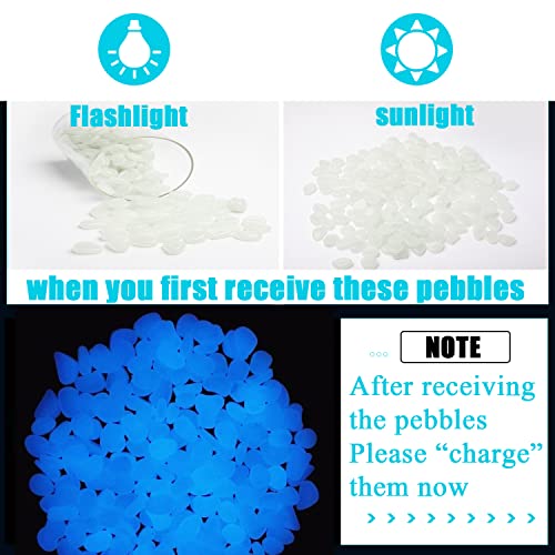 Glow in The Dark Pebbles