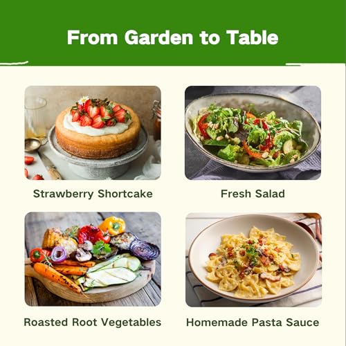 Lush&Dew Kitchen Garden Seed Bank (Kitchen Garden)