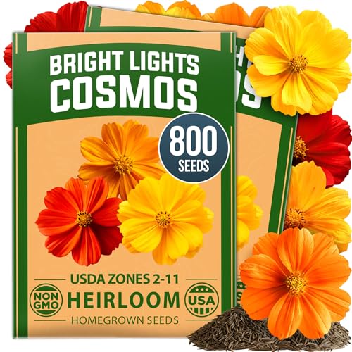 Bright Lights Cosmos Mix Seeds